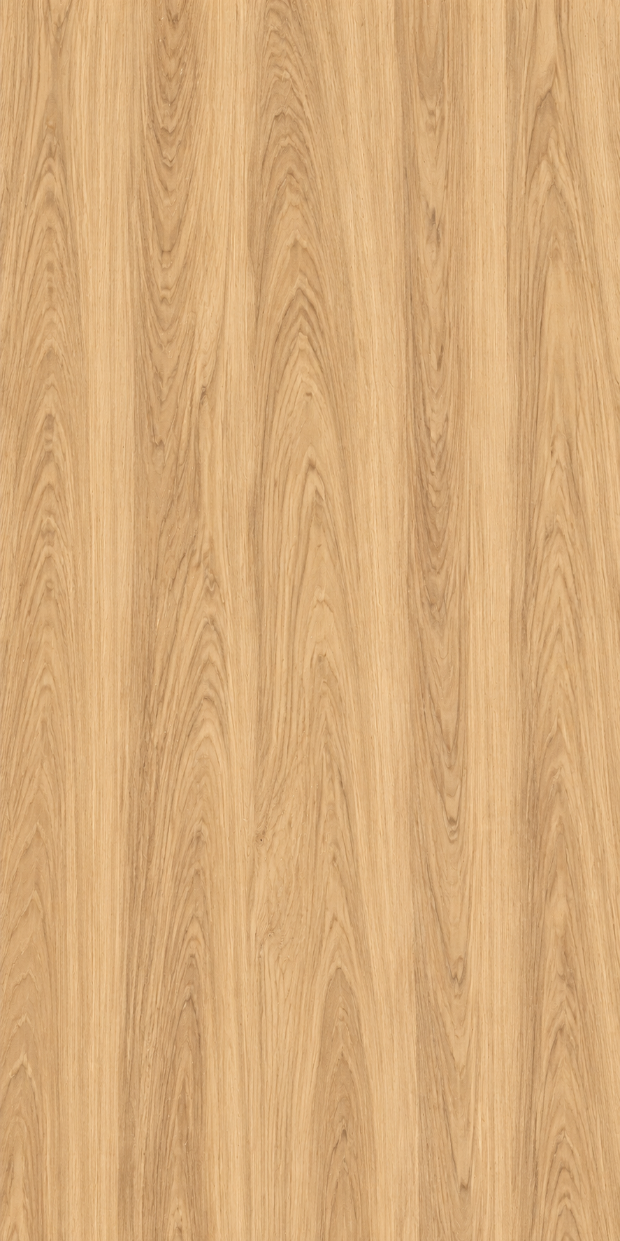Elm flexible veneer sheet – illustrative grain image