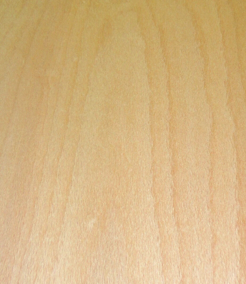 White Beech veneer grain close-up