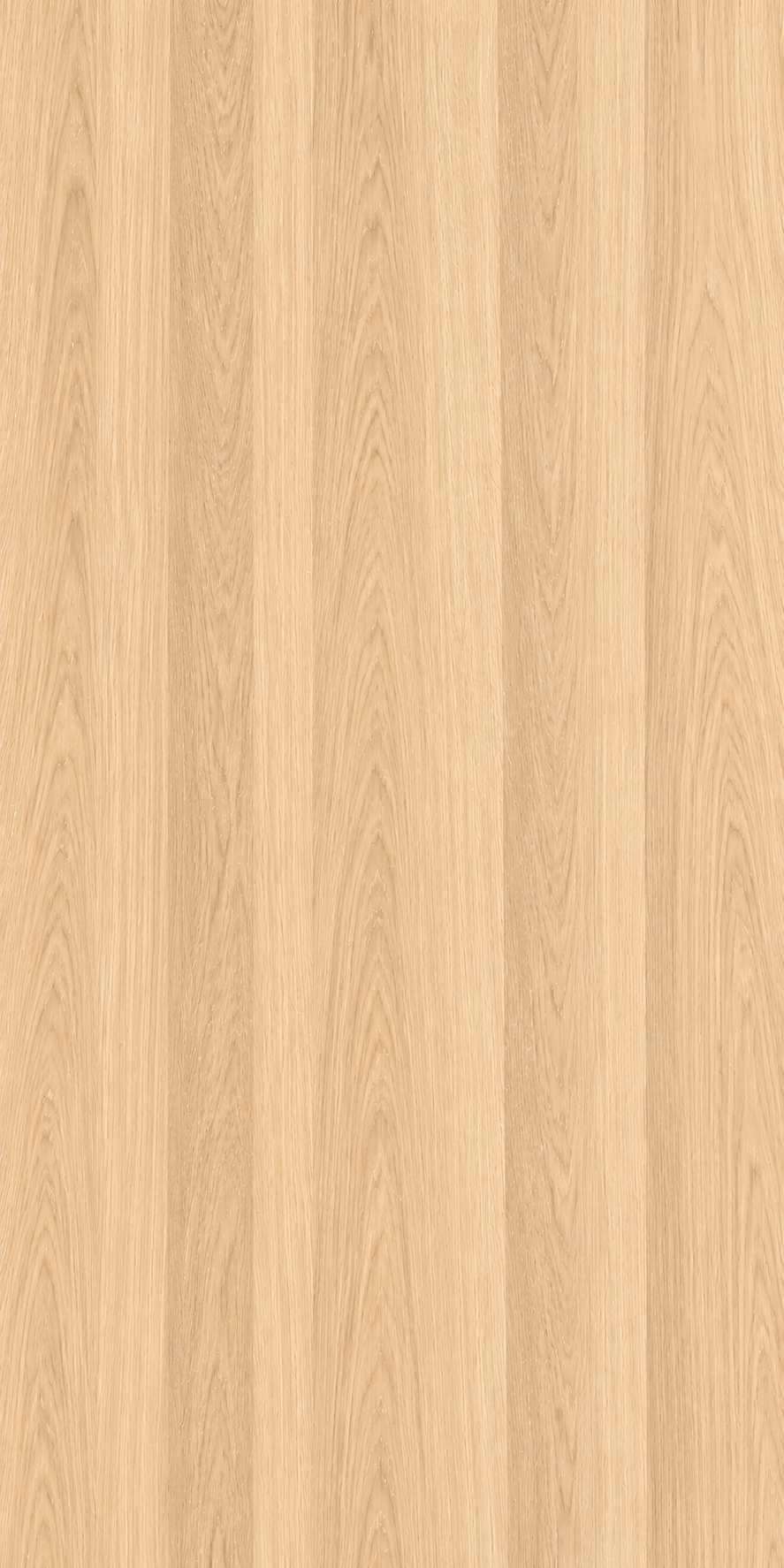 Crown cut white oak flexible veneer – illustrative grain image