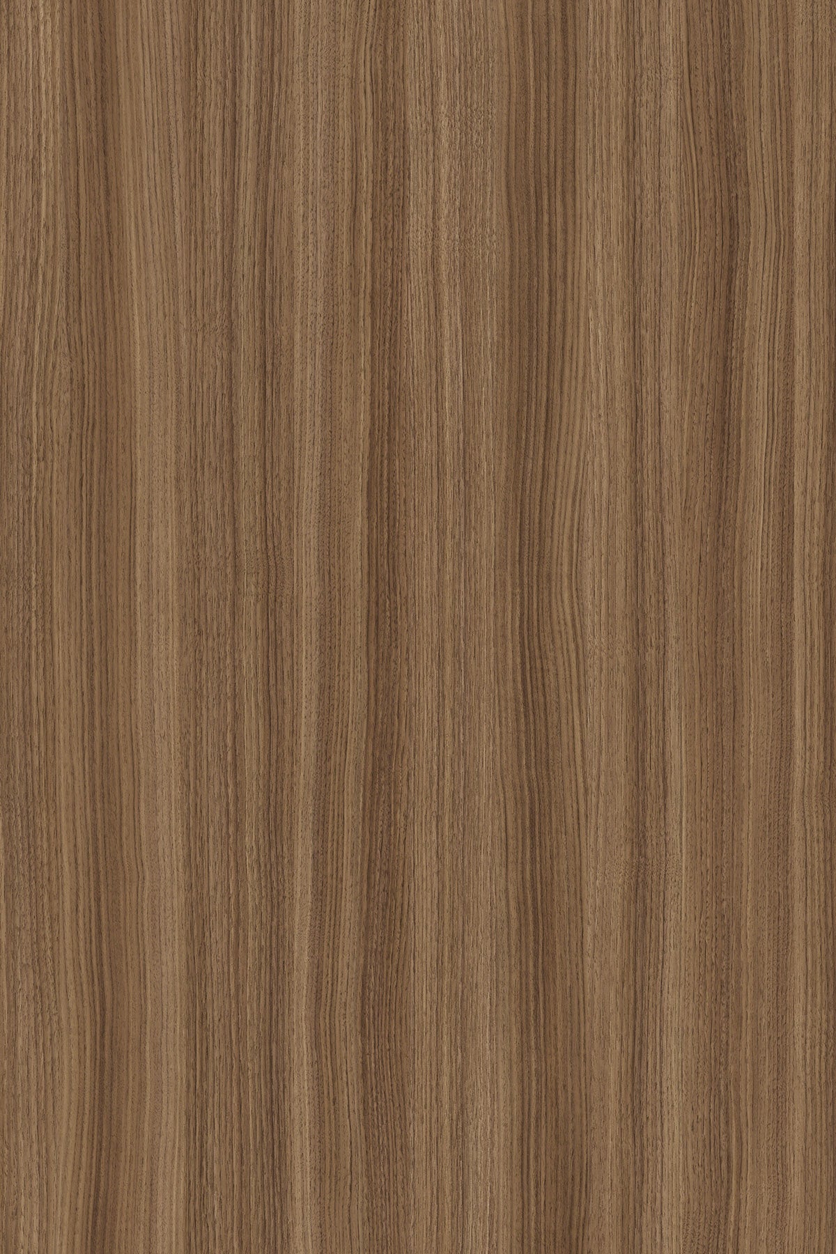 Kronospan MFC - K546 Caramel Franklin Walnut