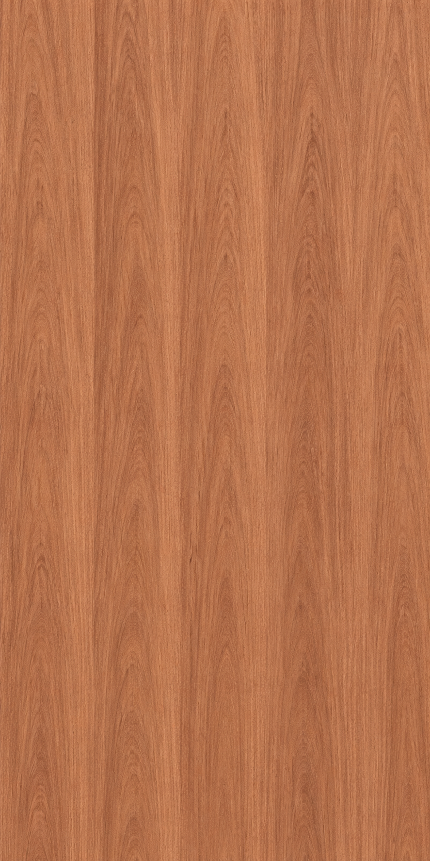 Sapele flexible veneer sheet – illustrative grain image