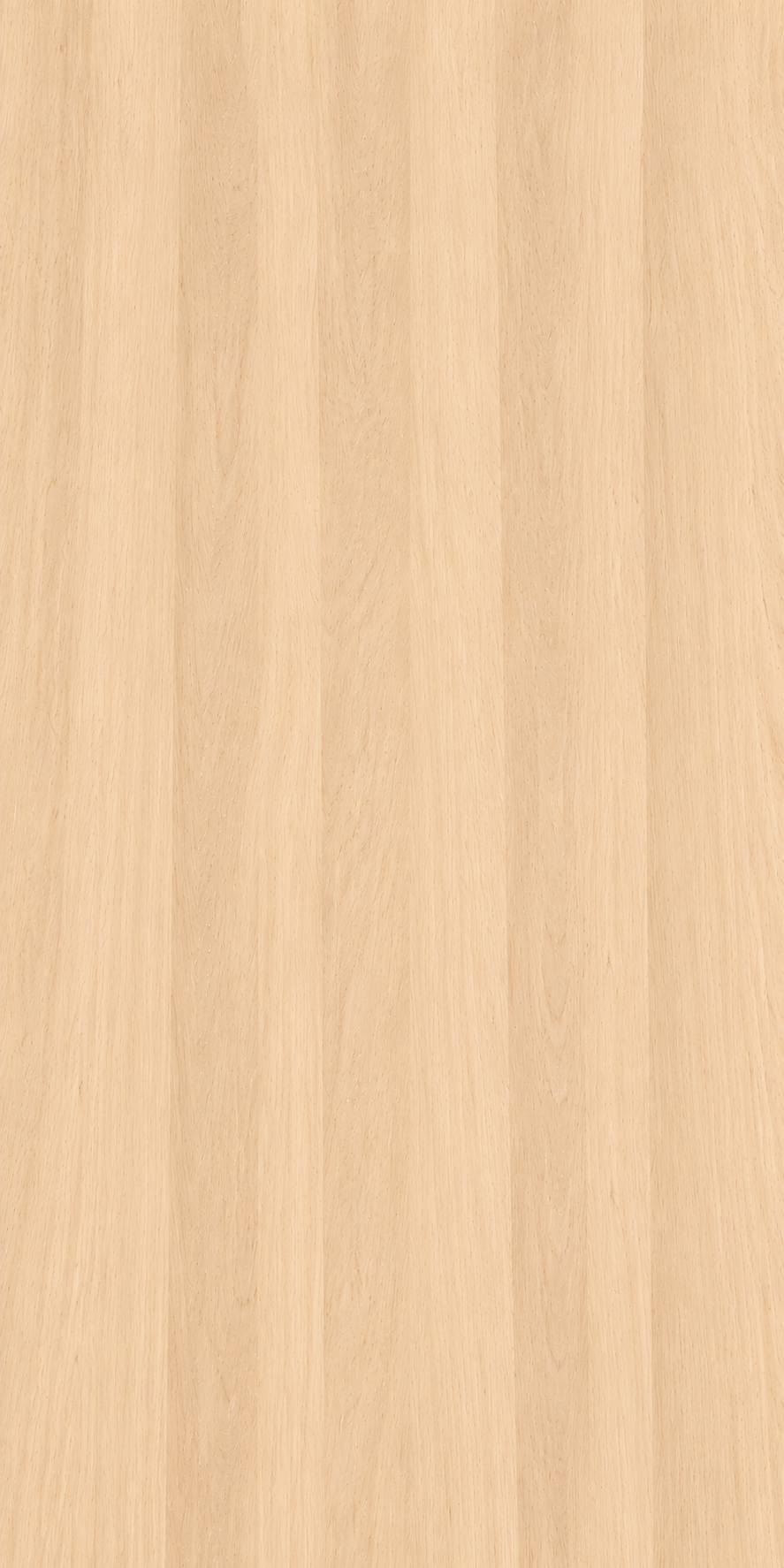 White Beech flexible veneer sheet – illustrative grain image