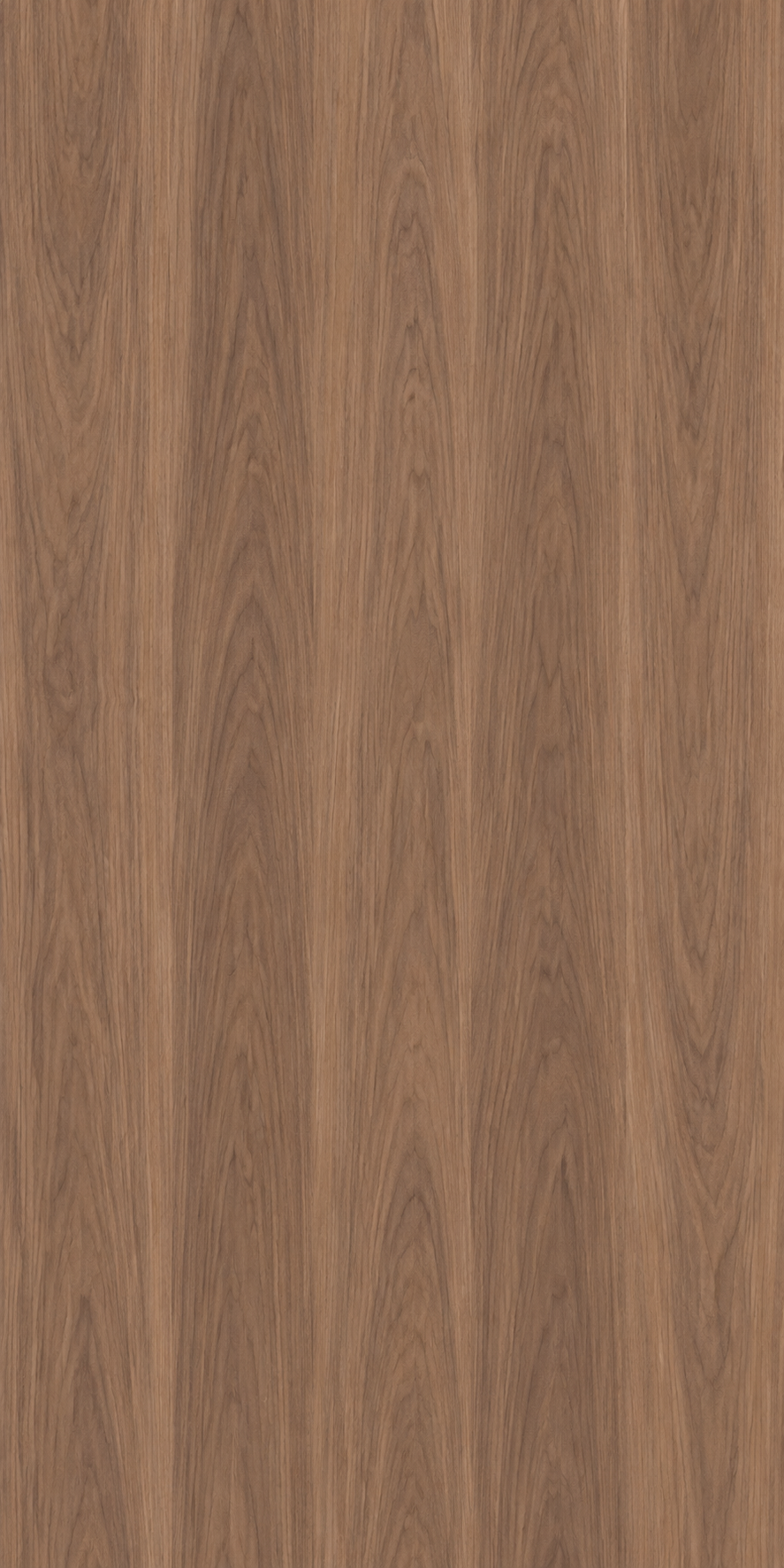 Black walnut flexible veneer – illustrative grain image