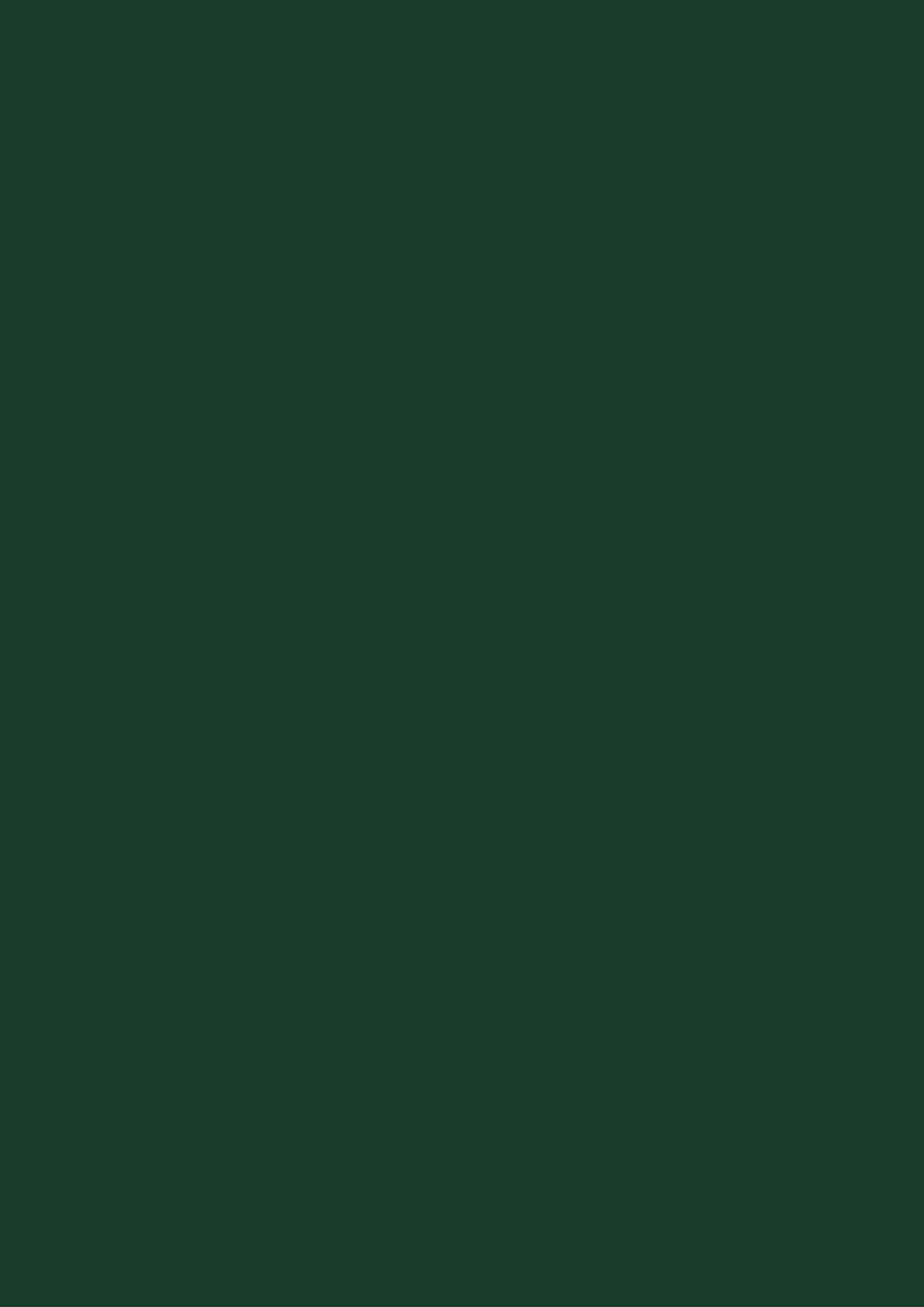 EGGER U606 ST9 Forest Green