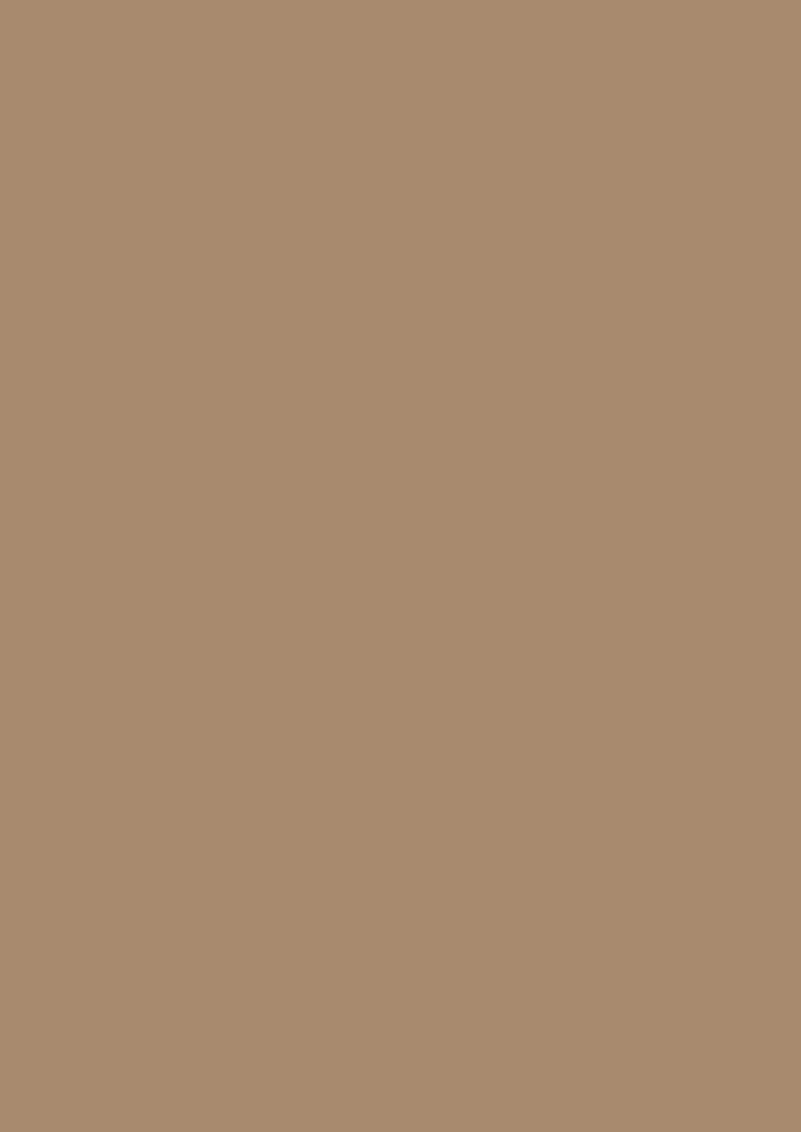 EGGER EDGING U250 ST9 Caramel Beige ABS Un-Glued