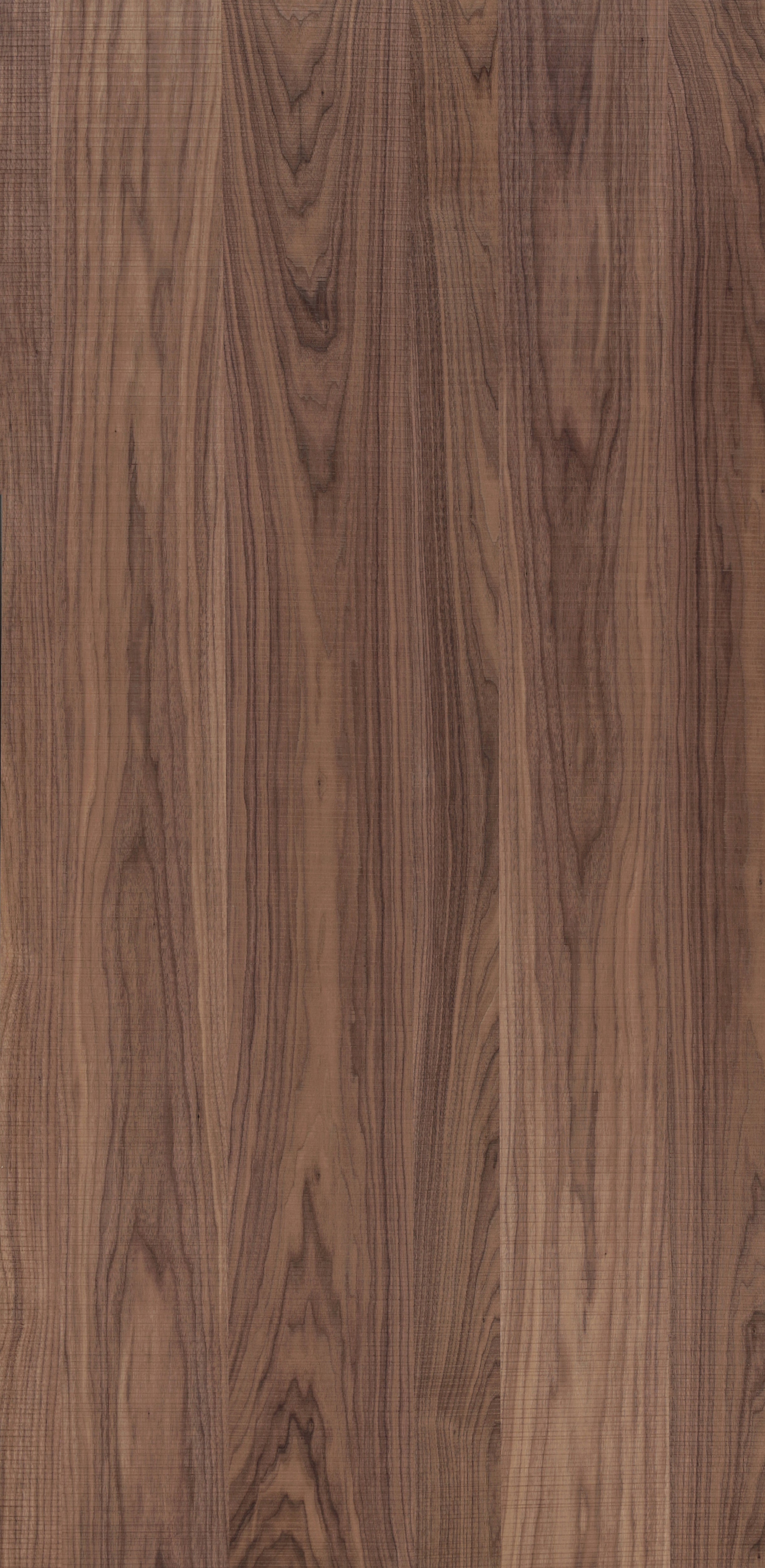 0.6 x 2500 x 1220 Crown Cut Black Walnut Flexible Veneer